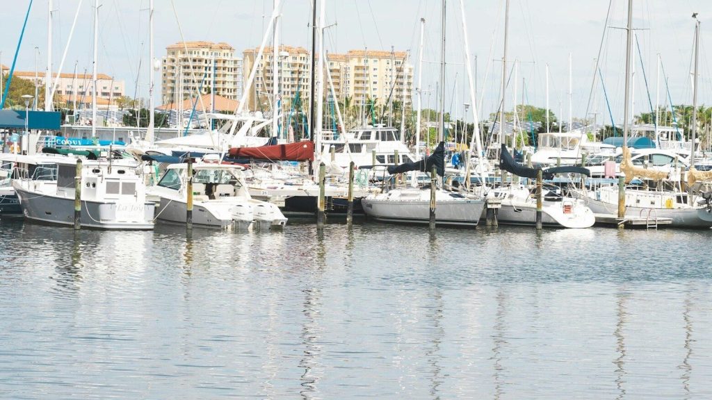 A quiet marina of moored sailboats and motor cruisers seen across flat water, a heron wading in the shallows, low residential buildings behind the masts